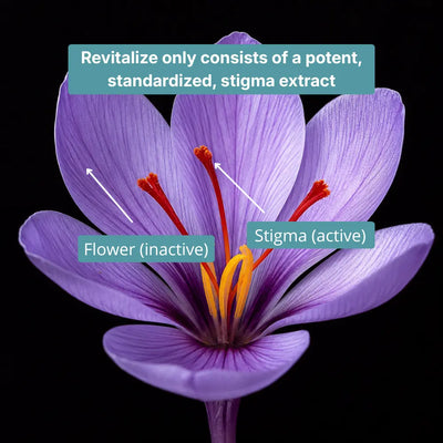 Revitalize Saffron Extract